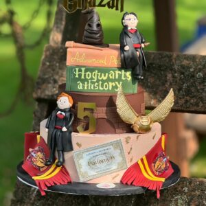 HARRY POTTER CAKE