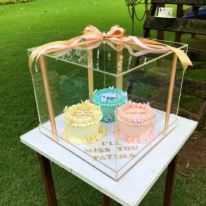 CUTEST TRIO IN A BOX